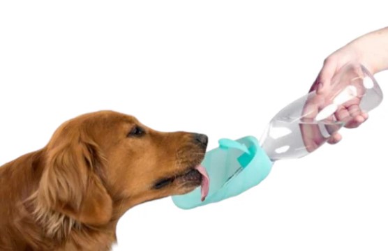 Leaf dispenser acqua da viaggio in silicone azzurro